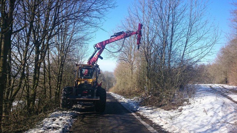 Welte mit Säge 4.JPG
