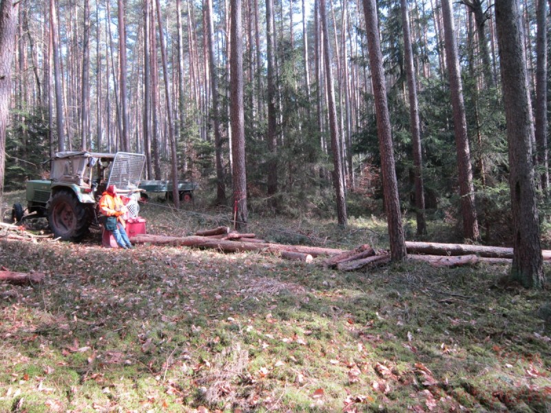 Bildla Nummära 003.jpg