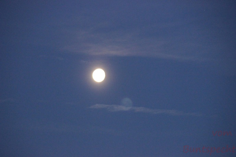 Bildla Nummära 006.jpg