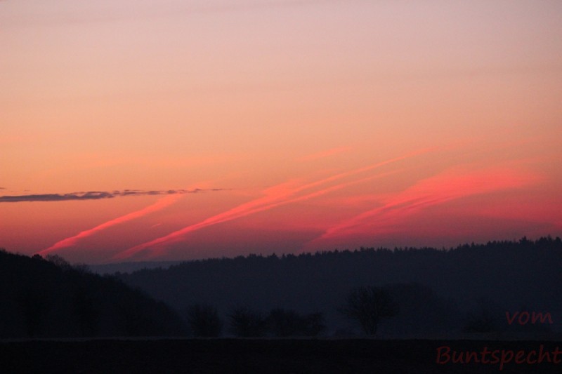 Bildla Nummära 007.jpg