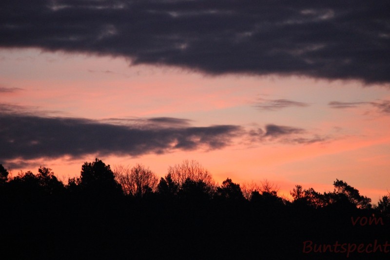 Bildla Nummära 008.jpg