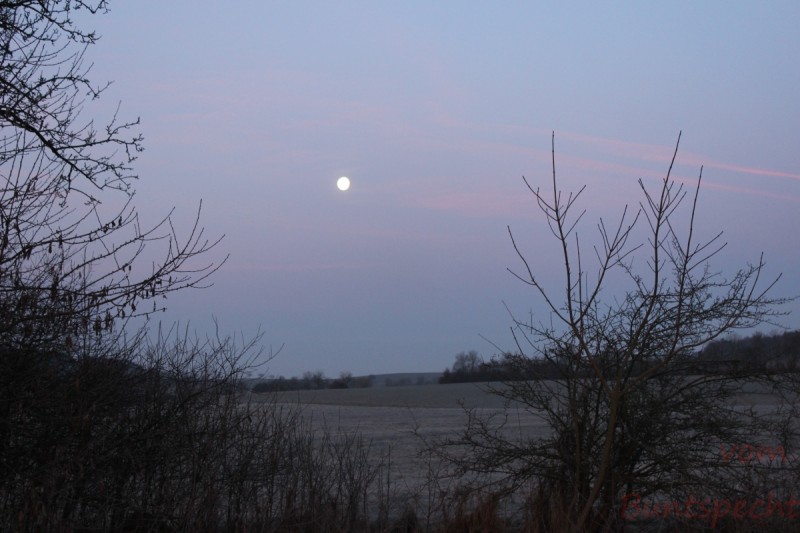 Bildla Nummära 013.jpg