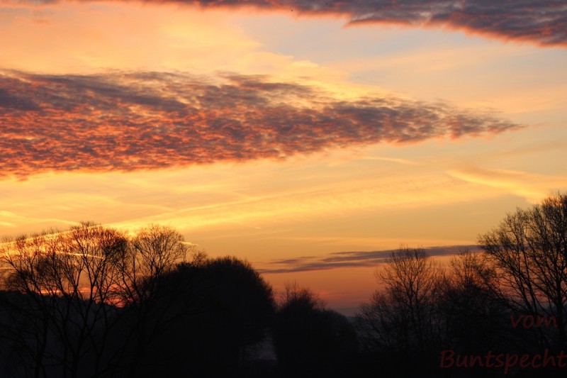 Bildla Nummära 015.jpg