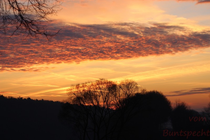 Bildla Nummära 016.jpg