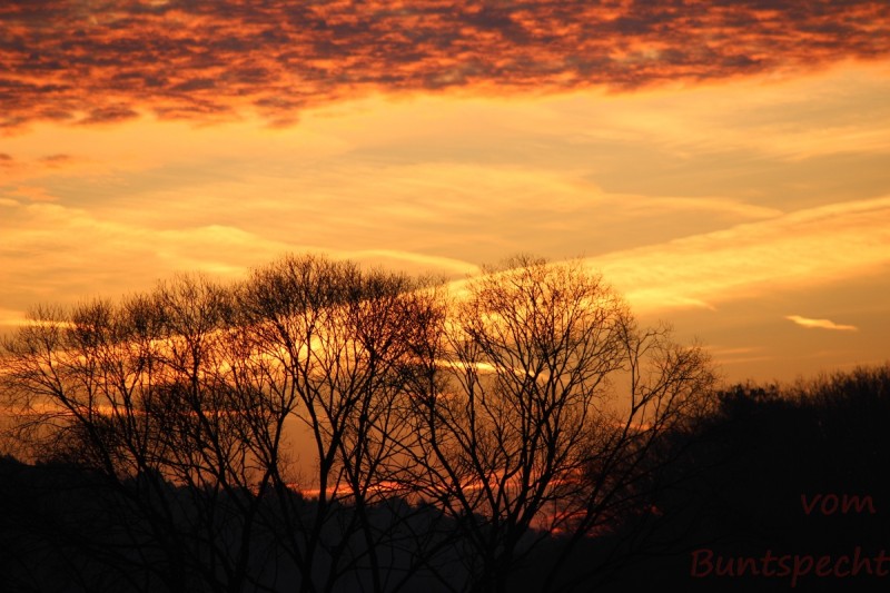 Bildla Nummära 017.jpg