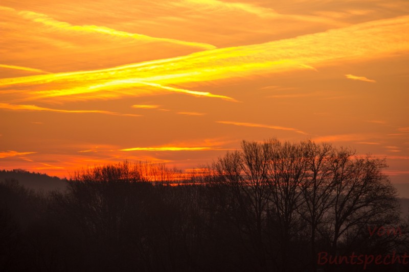 Bildla Nummära 019.jpg