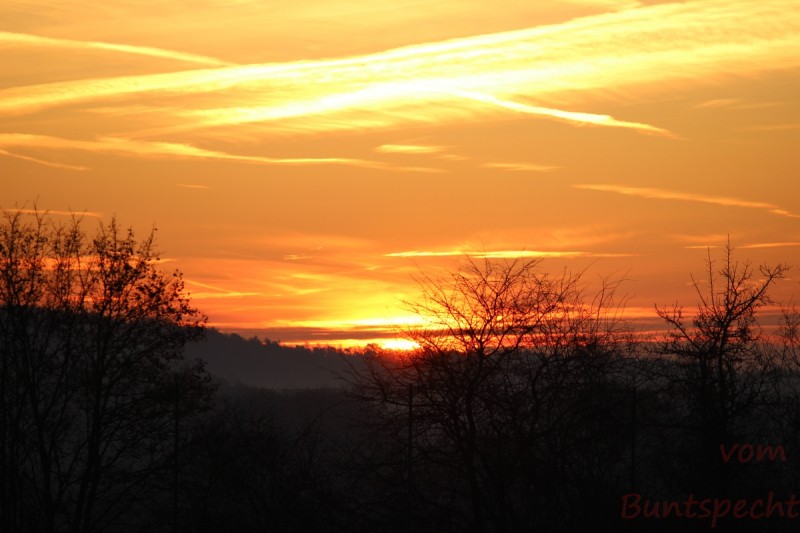 Bildla Nummära 020.jpg