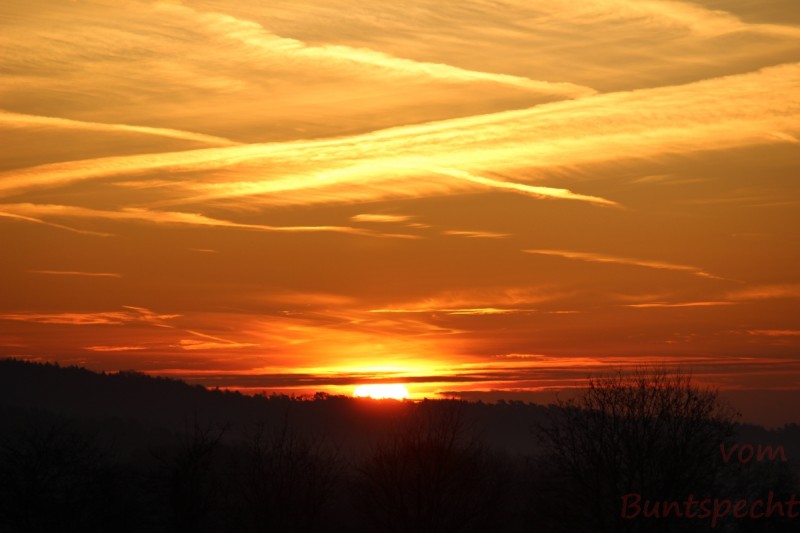 Bildla Nummära 021.jpg