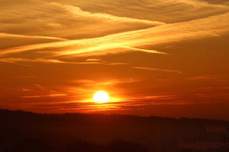 Bildla Nummära 023.jpg