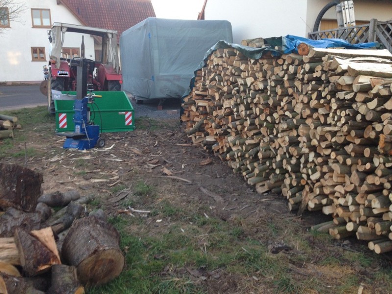 holz 1.jpg
