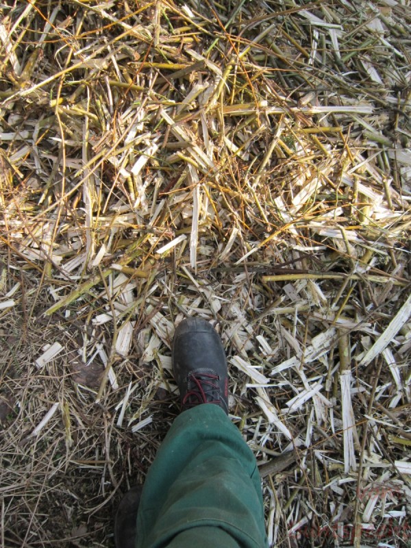 Bildla Nummära 011.jpg