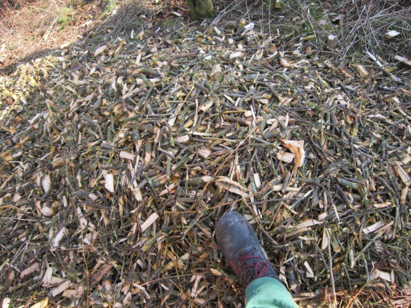 Bildla Nummära 016.jpg