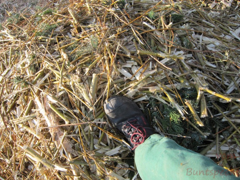 Bildla Nummära 017.jpg