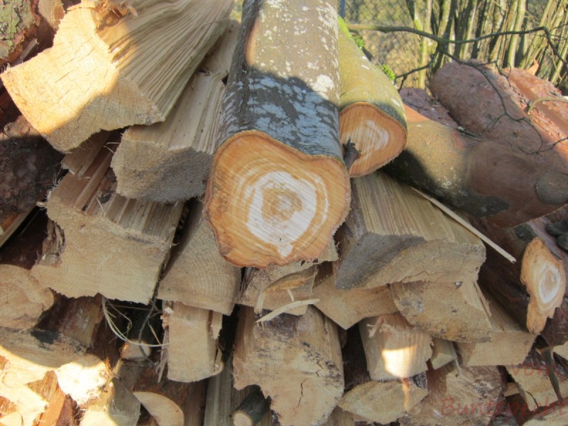 Bildla Nummära 020.jpg