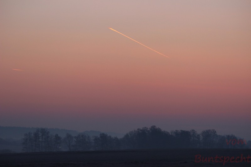 Bildla Nummära 001.jpg