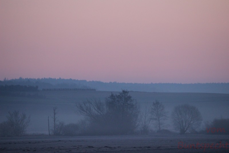 Bildla Nummära 002.jpg