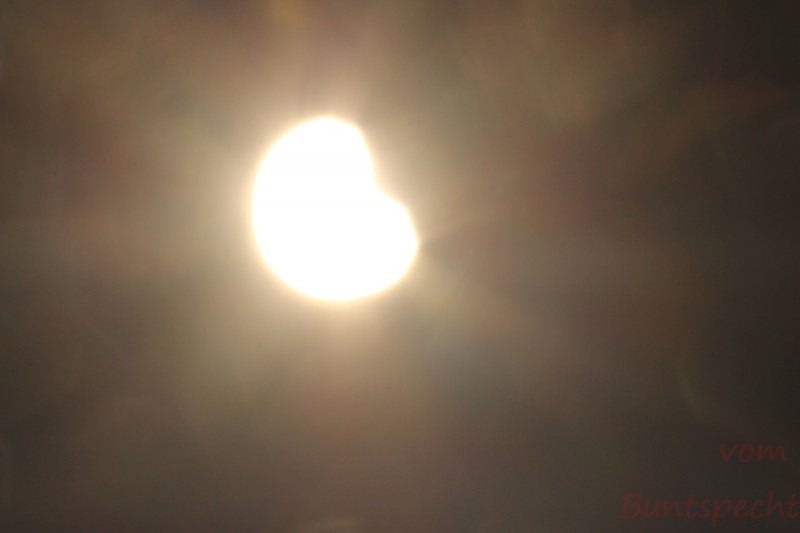 Bildla Nummära 004.jpg