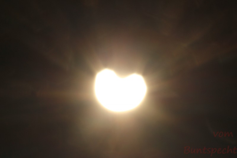 Bildla Nummära 005.jpg