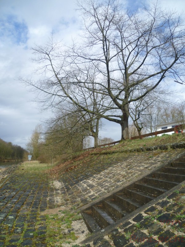 Bildla Nummära 004.jpg