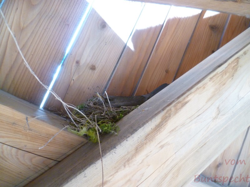 Bildla Nummära 005.jpg