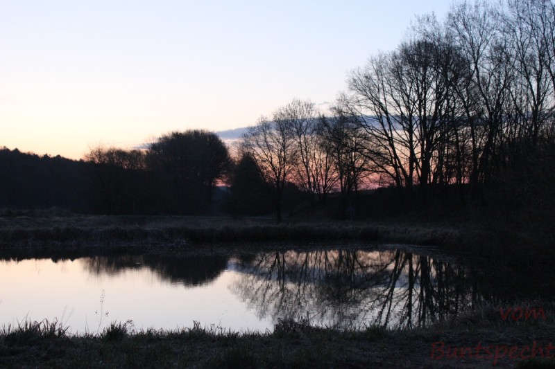 Bildla Nummära 001.jpg