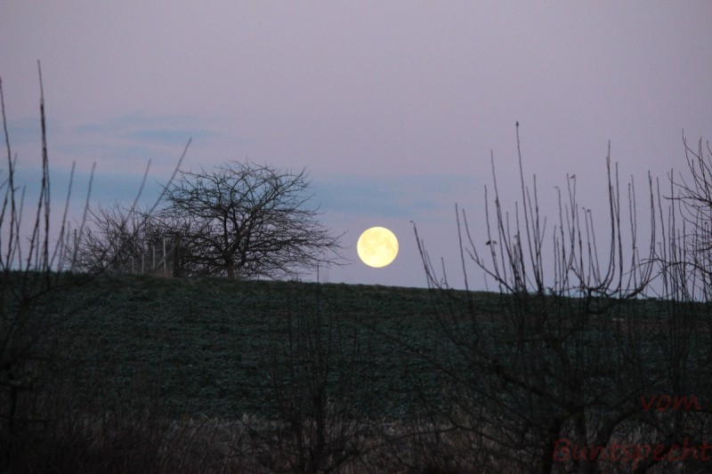 Bildla Nummära 003.jpg