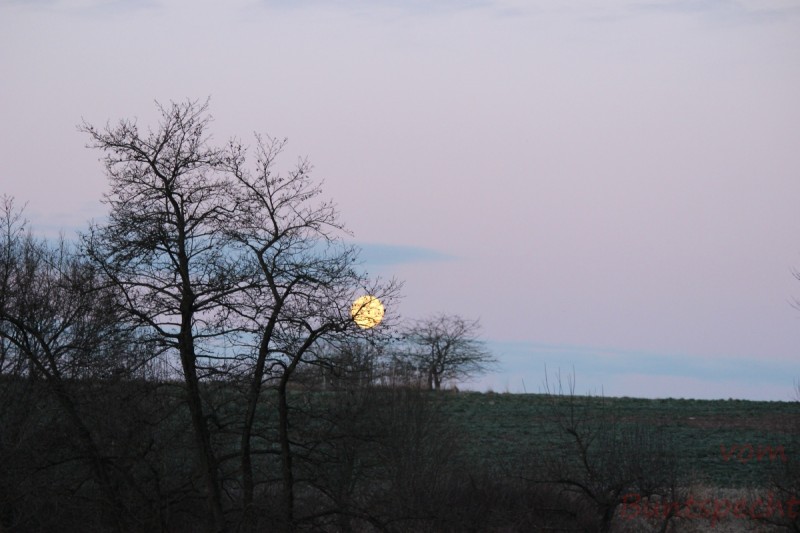 Bildla Nummära 006.jpg