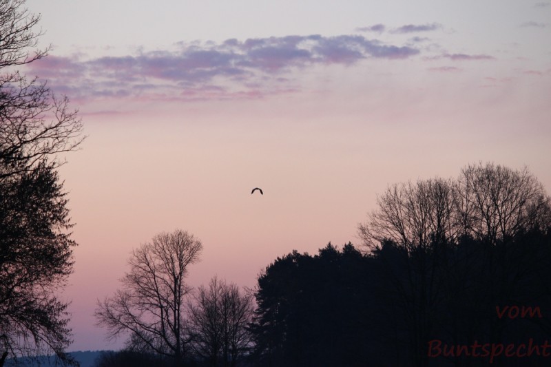 Bildla Nummära 007.jpg