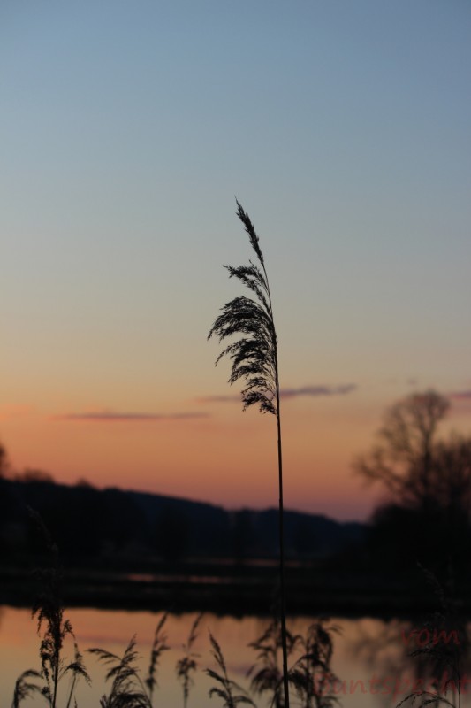 Bildla Nummära 008.jpg