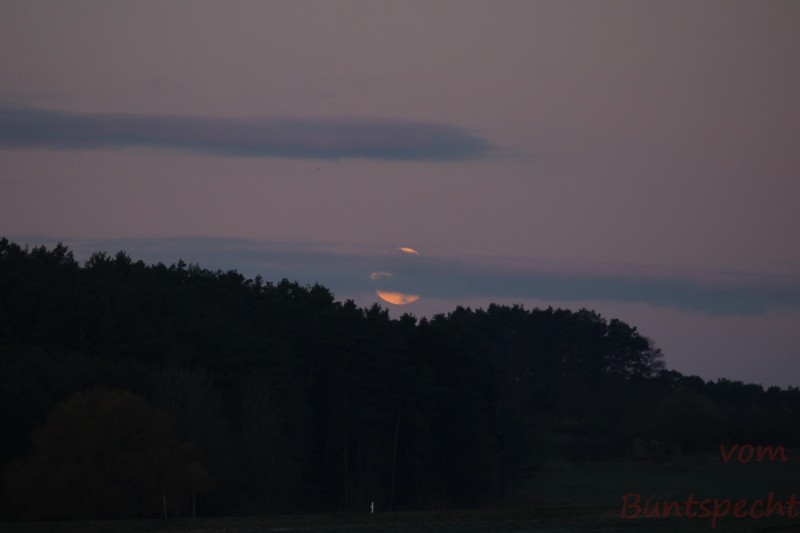 Bildla Nummära 010.jpg