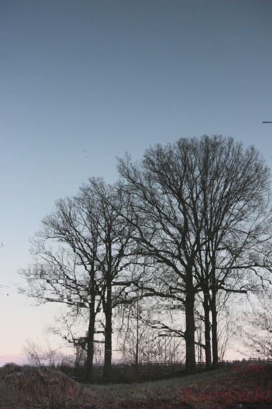 Bildla Nummära 011.jpg