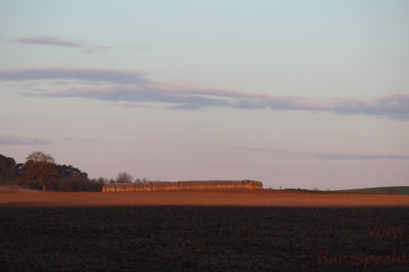 Bildla Nummära 014.jpg