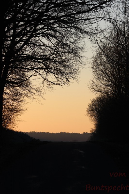 Bildla Nummära 016.jpg