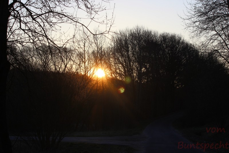 Bildla Nummära 017.jpg