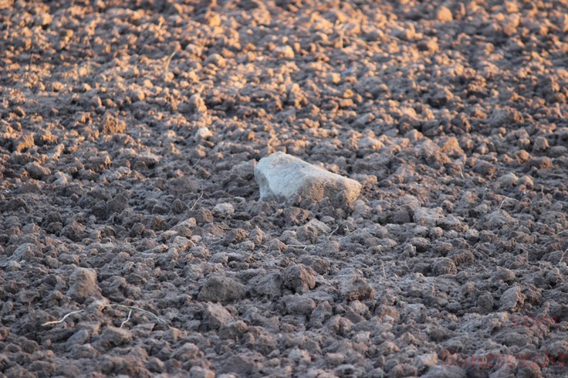 Bildla Nummära 019.jpg