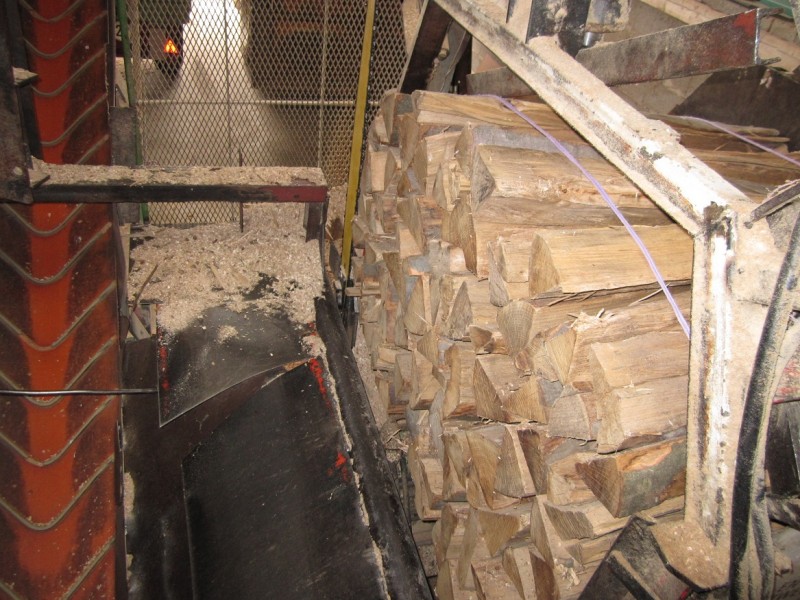 IMG_0745 kleiner.jpg