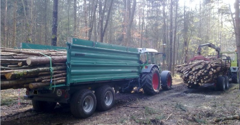 Brennholztransport 2.JPG