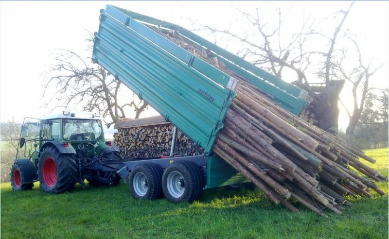 Brennholztransport 4.JPG