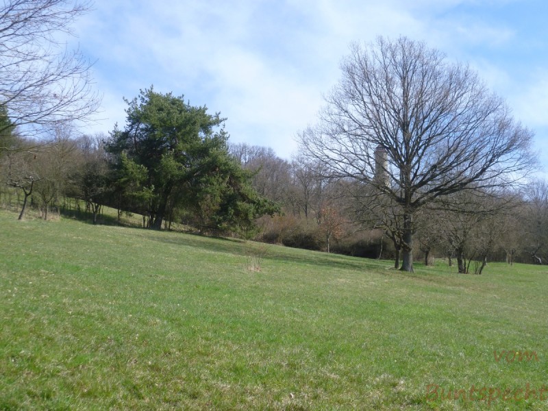 Bildla Nummära 001.jpg