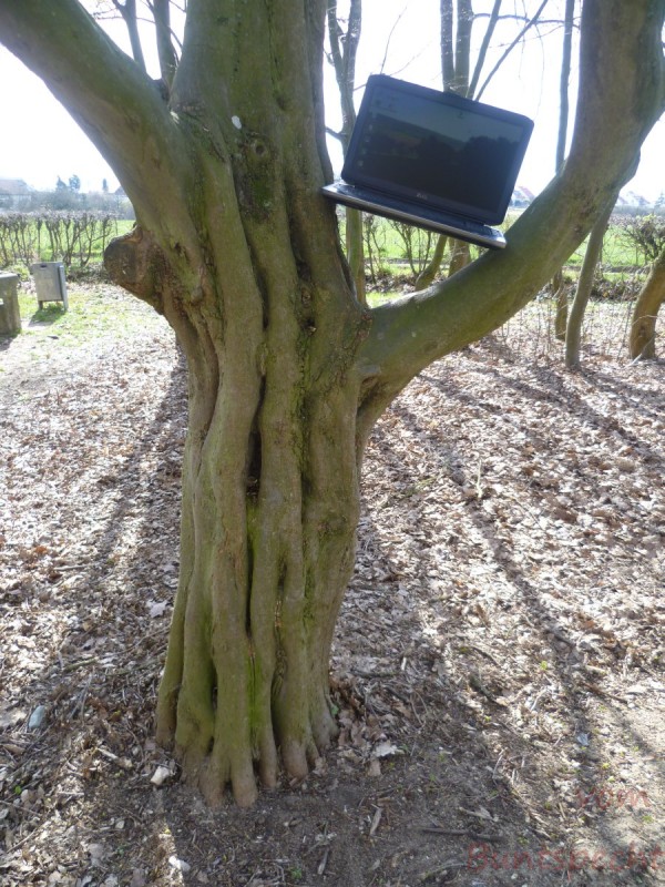 Bildla Nummära 002.jpg