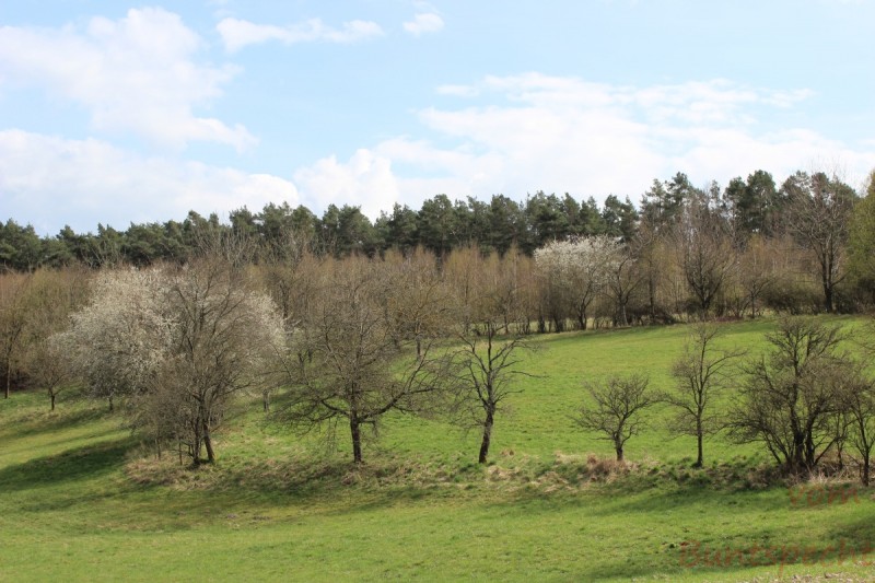 Bildla Nummära 001.jpg