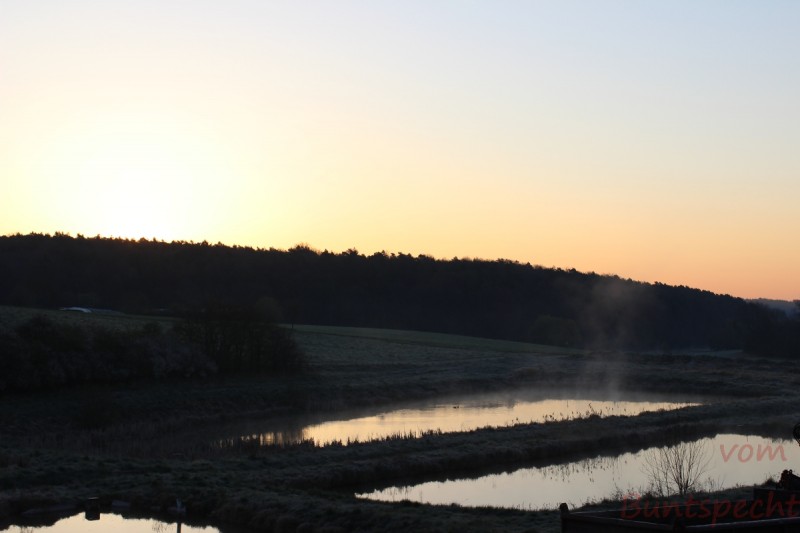 Bildla Nummära 001.jpg