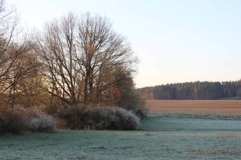 Bildla Nummära 003.jpg