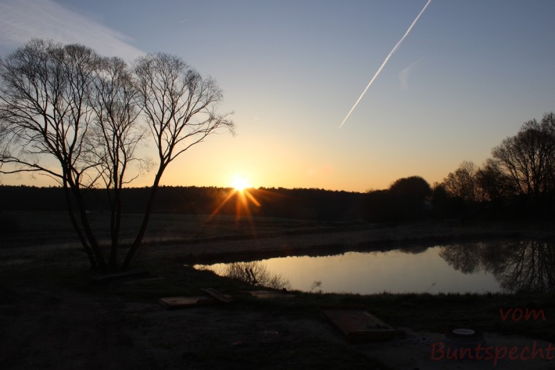 Bildla Nummära 004.jpg