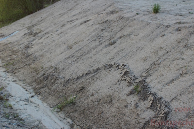 Bildla Nummära 005.jpg