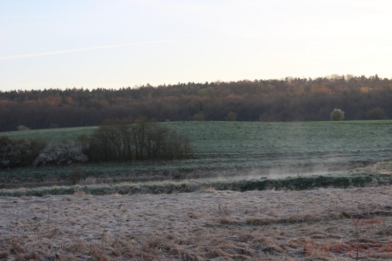 Bildla Nummära 006.jpg