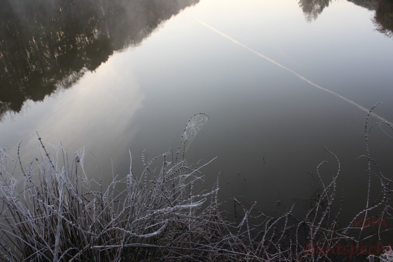 Bildla Nummära 008.jpg