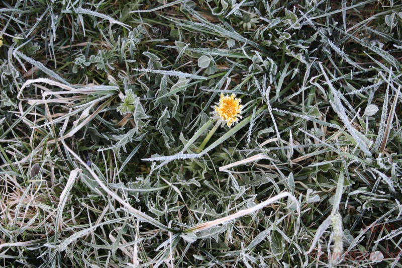 Bildla Nummära 009.jpg