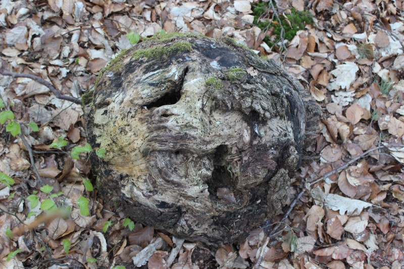 Bildla Nummära 010.jpg