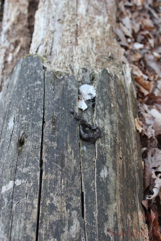 Bildla Nummära 013.jpg